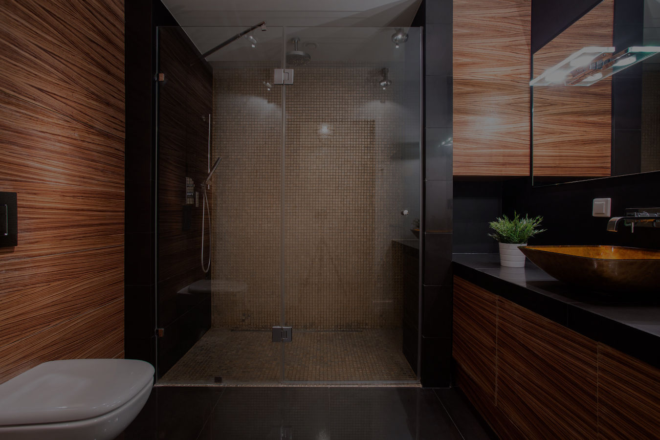 luxury bathroom shower